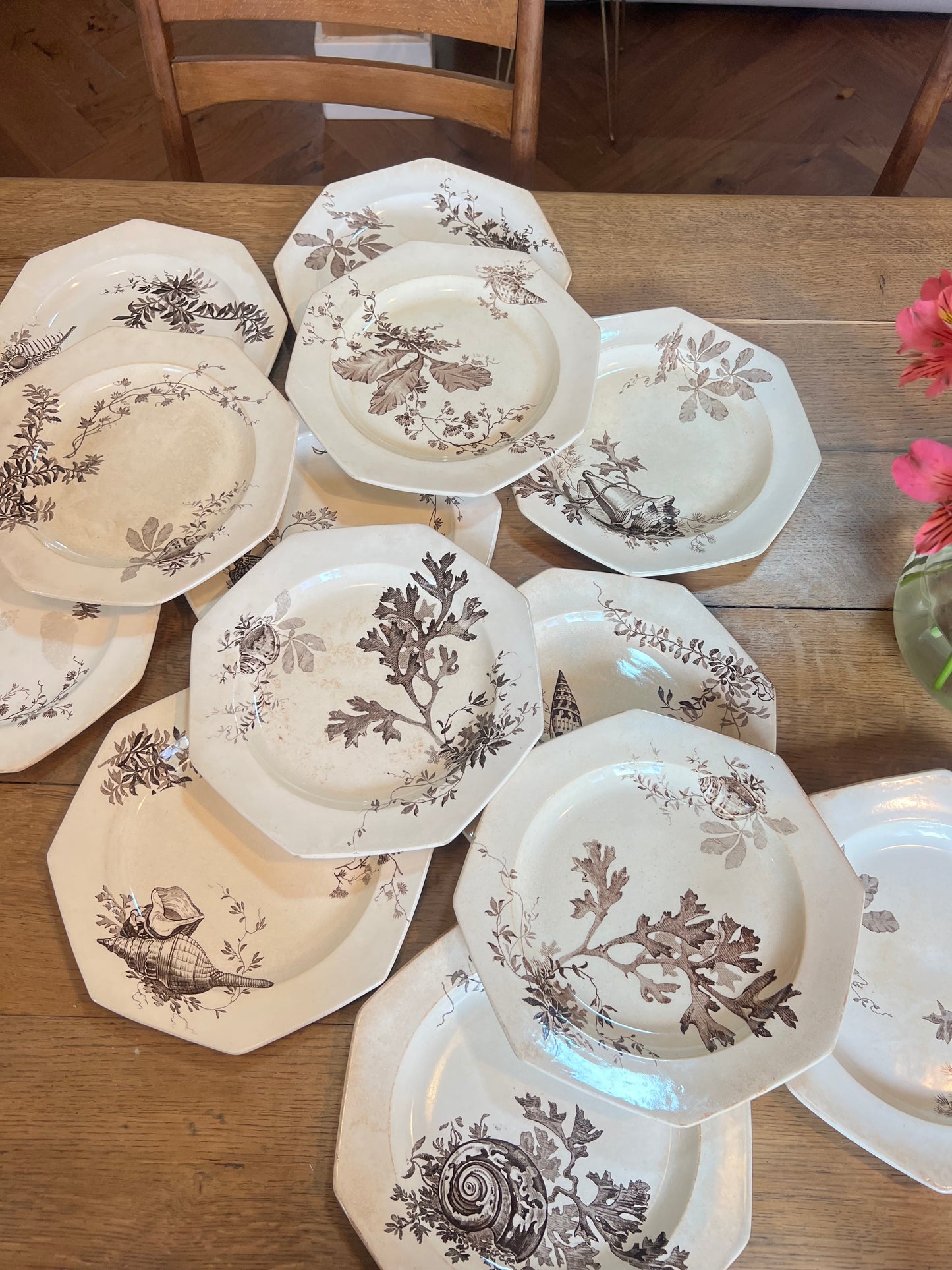 14 assiettes plates Wedgwood, anglais, modèle Neptune, jaunies, 2 ont des petits éclats en dessous et un un léger fêle.