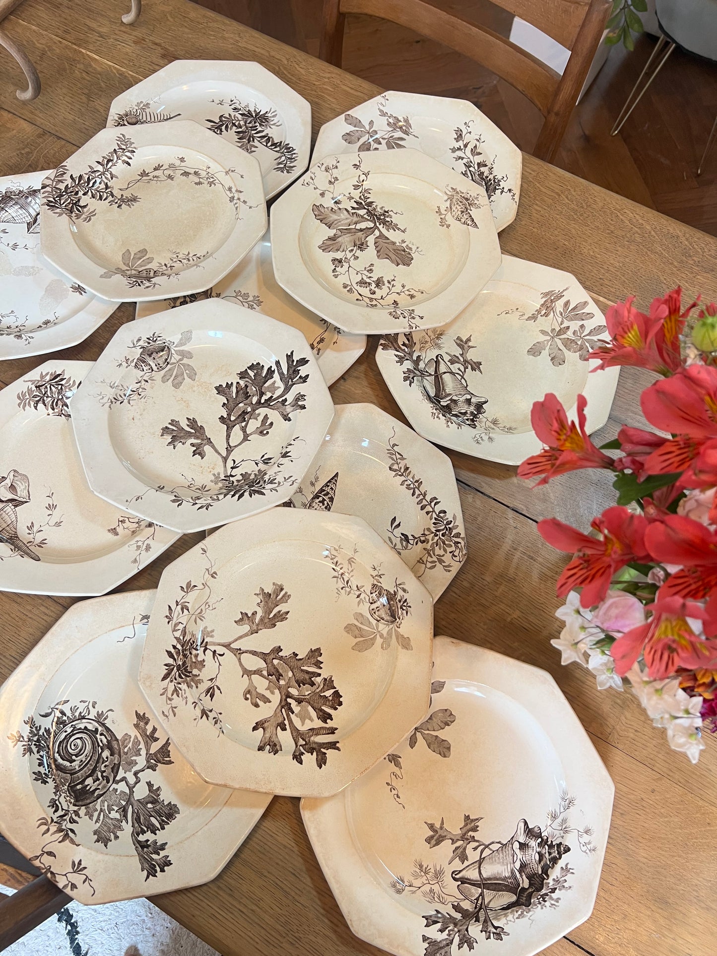 14 assiettes plates Wedgwood, anglais, modèle Neptune, jaunies, 2 ont des petits éclats en dessous et un un léger fêle.