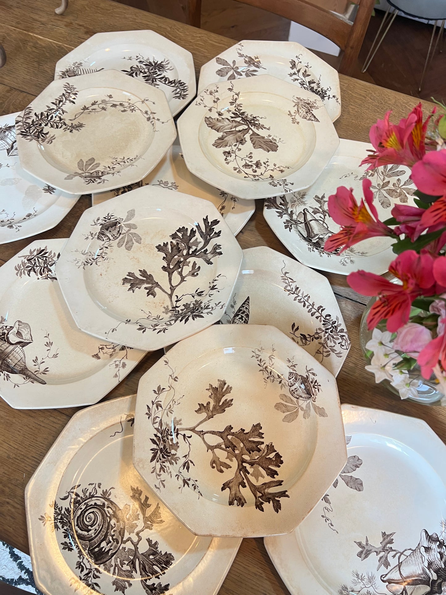 14 assiettes plates Wedgwood, anglais, modèle Neptune, jaunies, 2 ont des petits éclats en dessous et un un léger fêle.