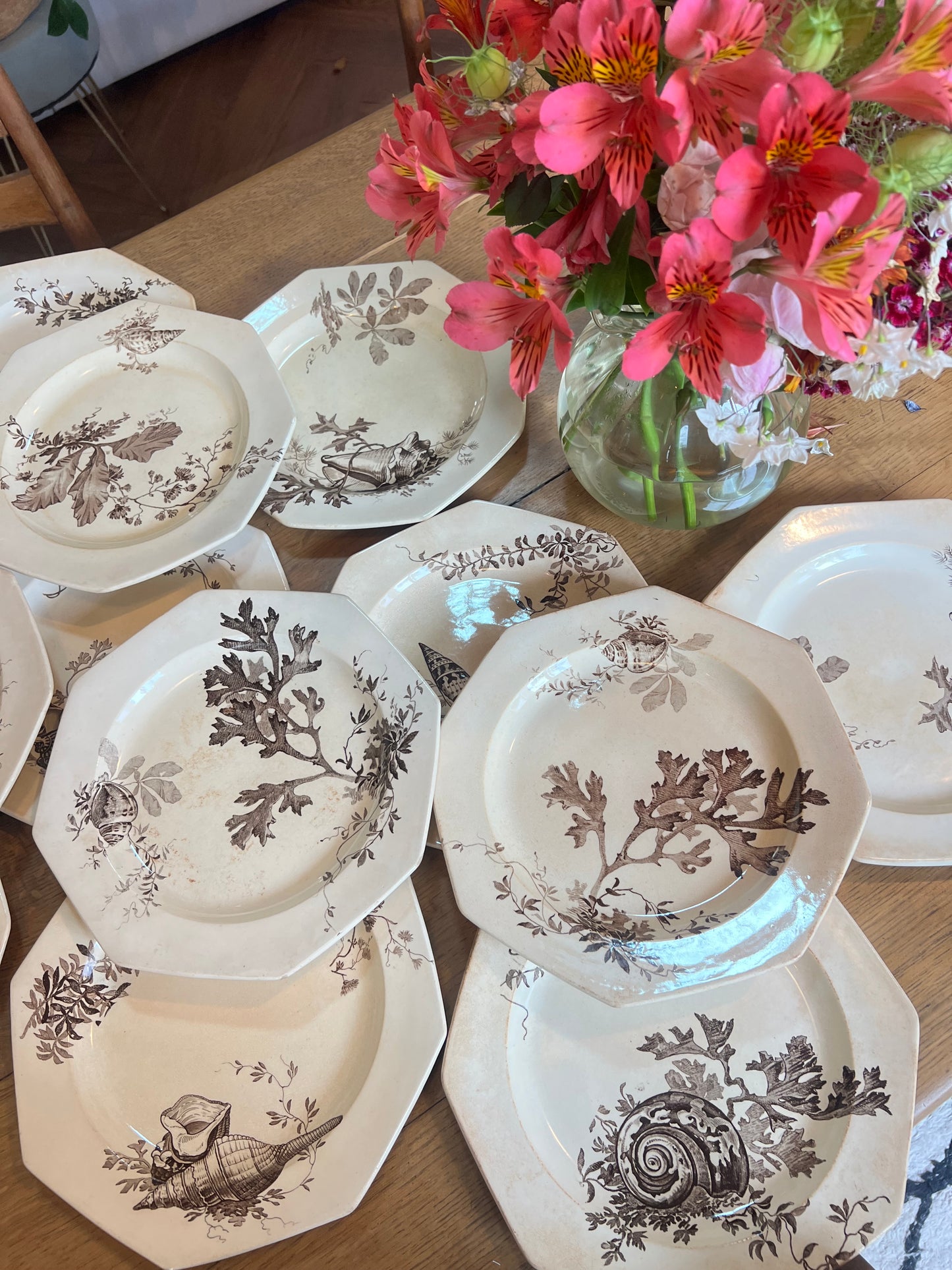 14 assiettes plates Wedgwood, anglais, modèle Neptune, jaunies, 2 ont des petits éclats en dessous et un un léger fêle.