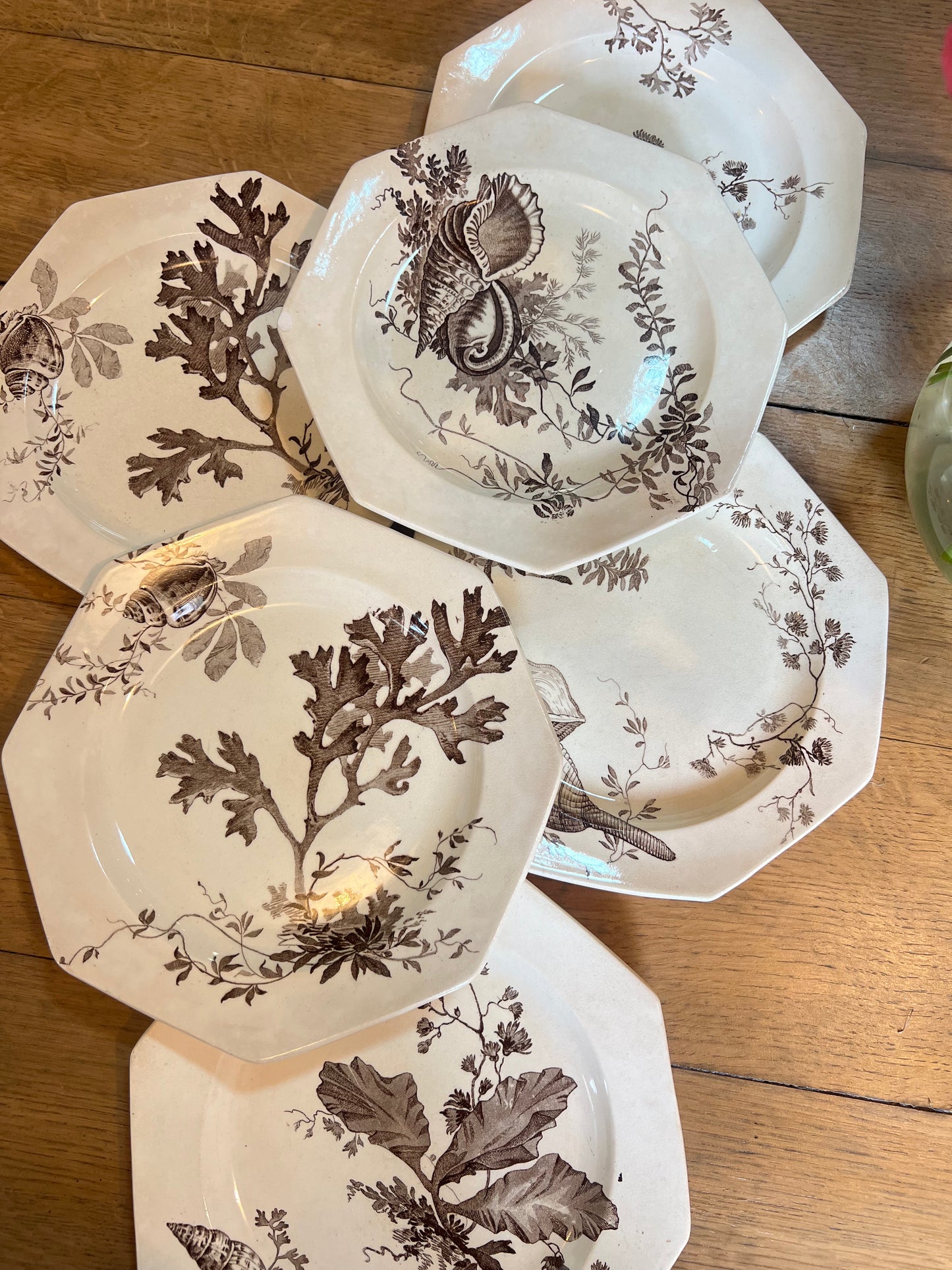 6 assiettes plates Wedgwood, anglais, modèle Neptune, en parfait état.