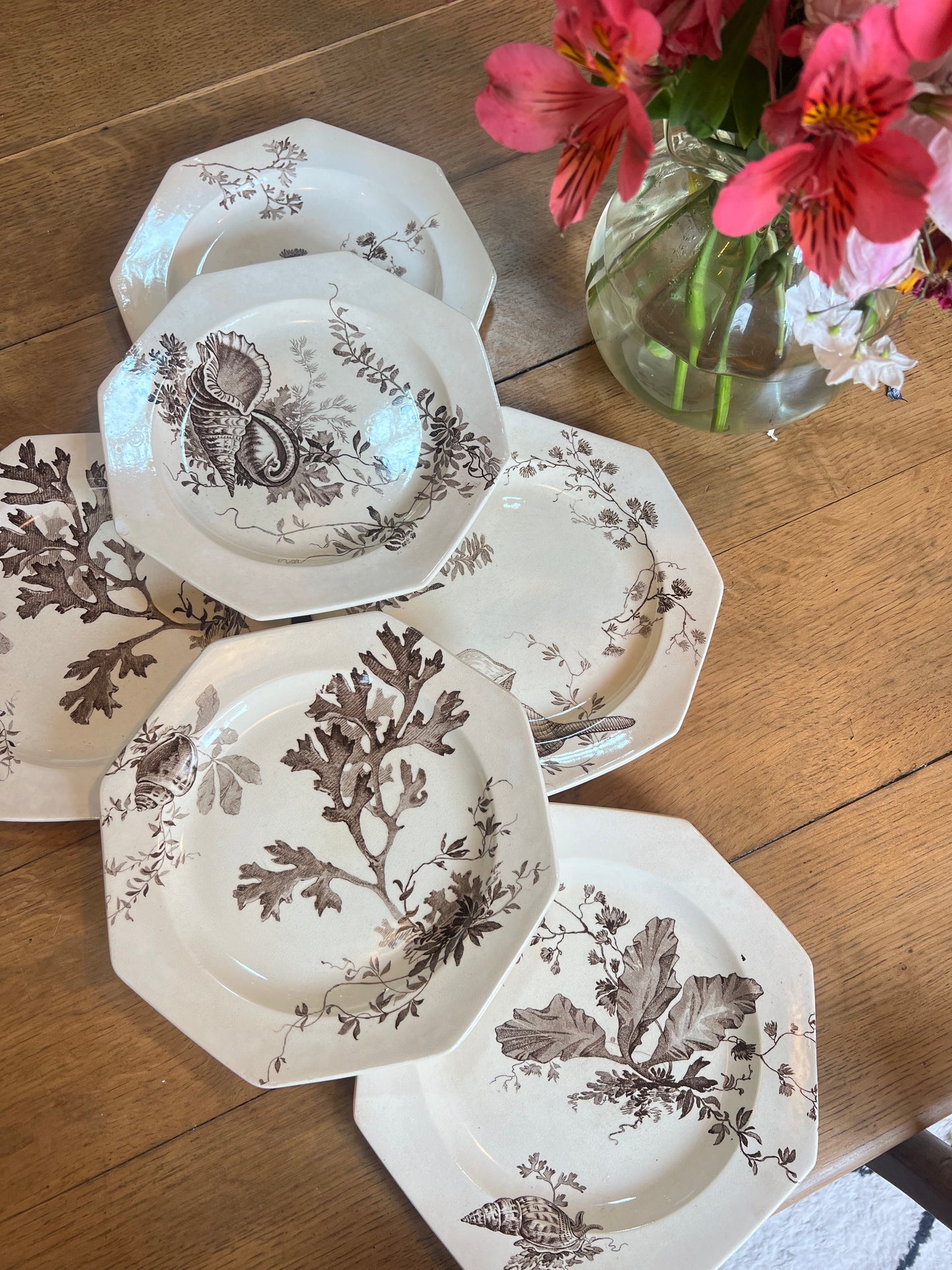 6 assiettes plates Wedgwood, anglais, modèle Neptune, en parfait état.