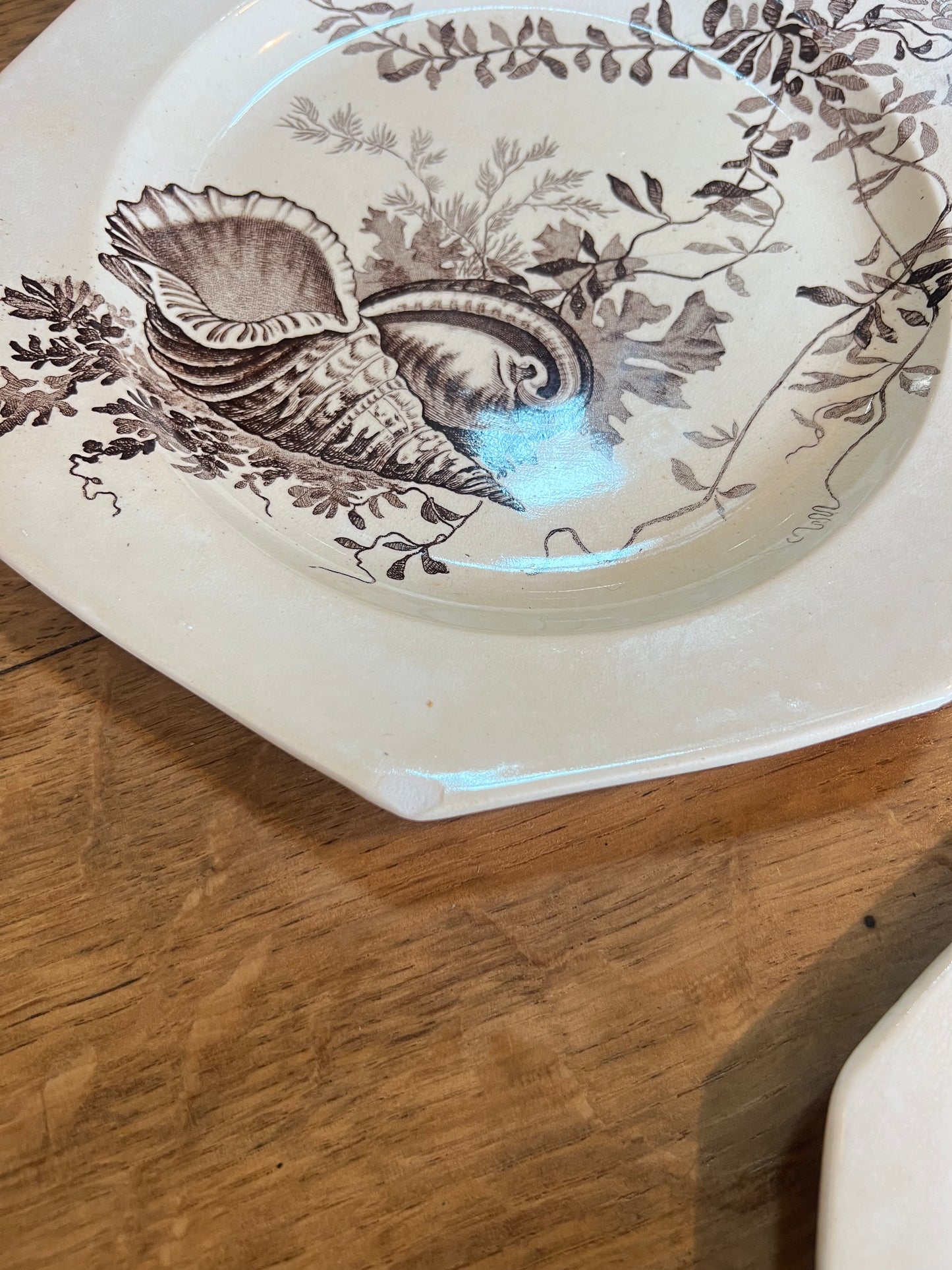 6 assiettes plates Wedgwood, anglais, modèle Neptune, en parfait état.
