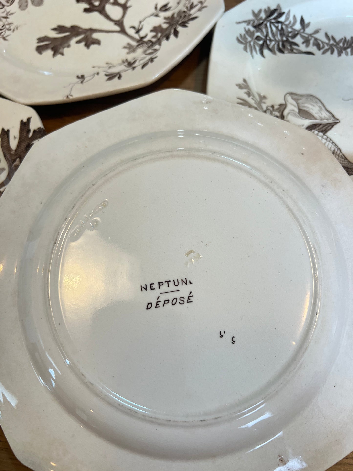 6 assiettes plates Wedgwood, anglais, modèle Neptune, en parfait état.