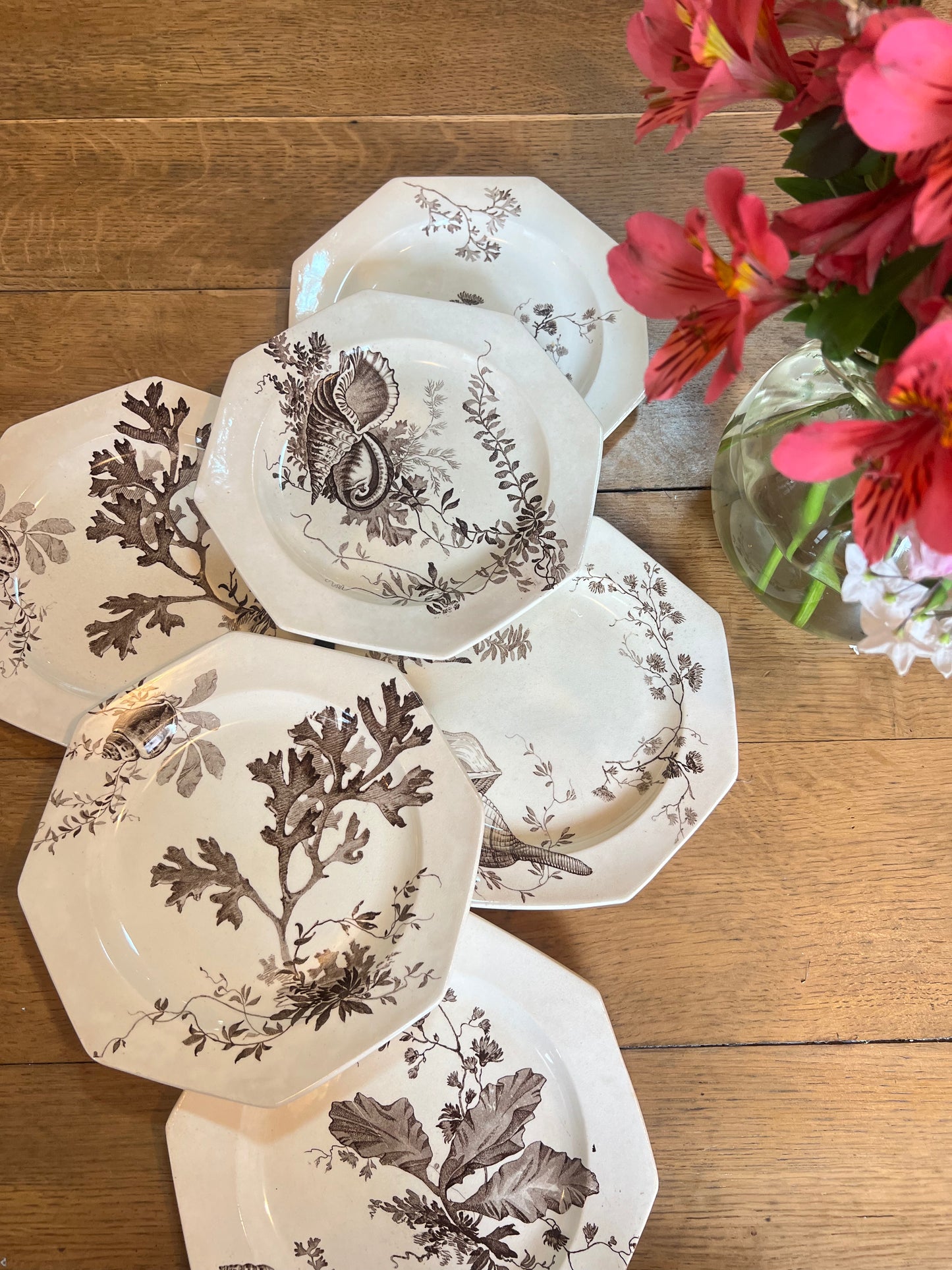 8 assiettes plates Wedgwood, anglais, modèle Neptune, en parfait état.