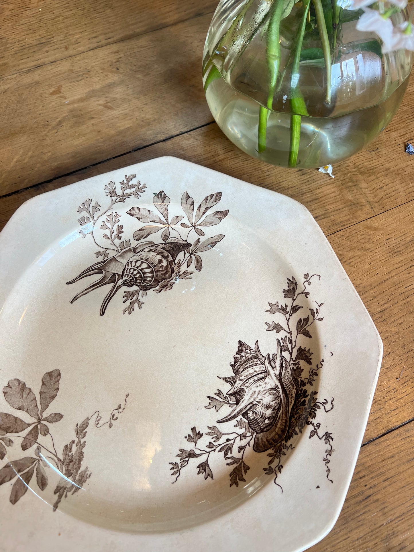 Plats rond Wedgwood, anglais, modèle Neptune, parfait état.