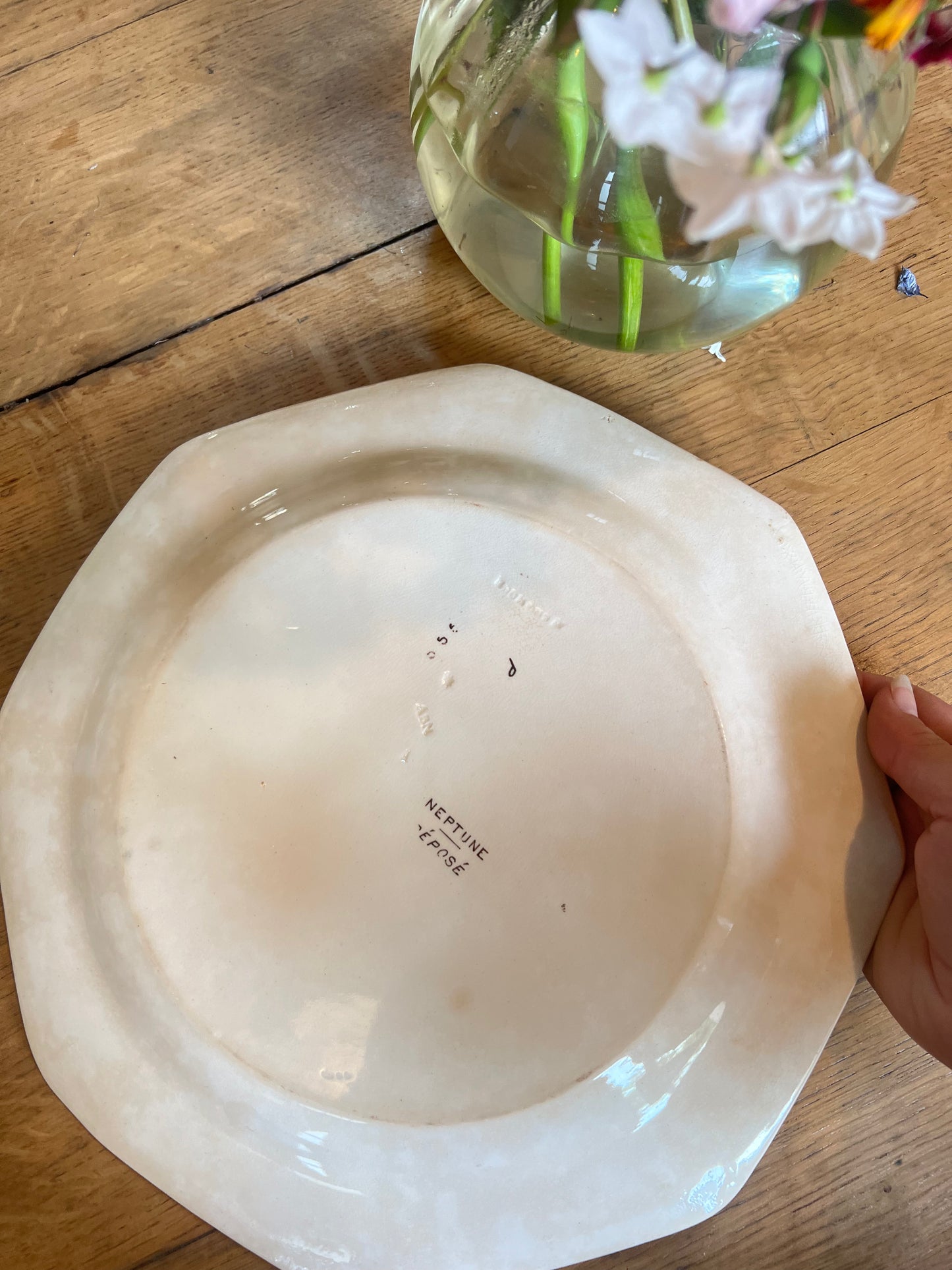 Plats rond Wedgwood, anglais, modèle Neptune, parfait état.