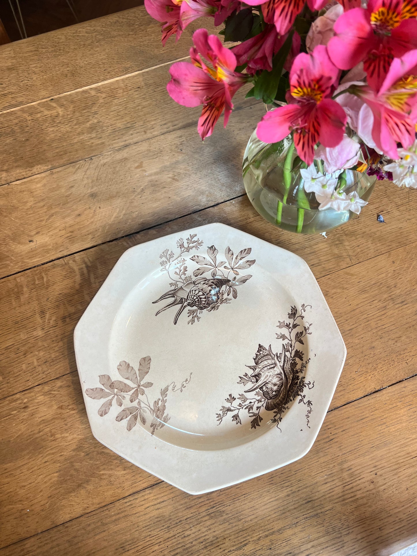 Plats rond Wedgwood, anglais, modèle Neptune, parfait état.