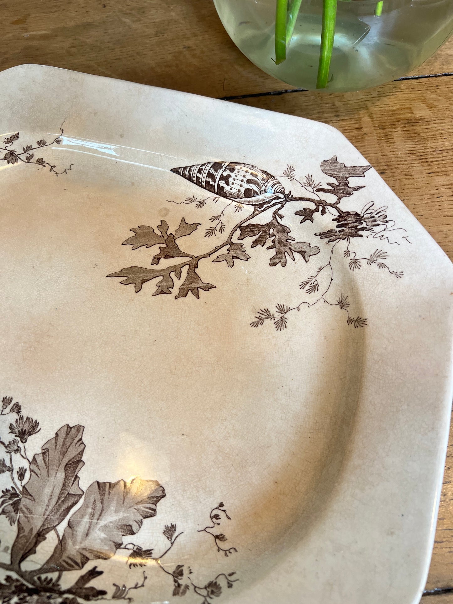 3 plats longs Wedgwood