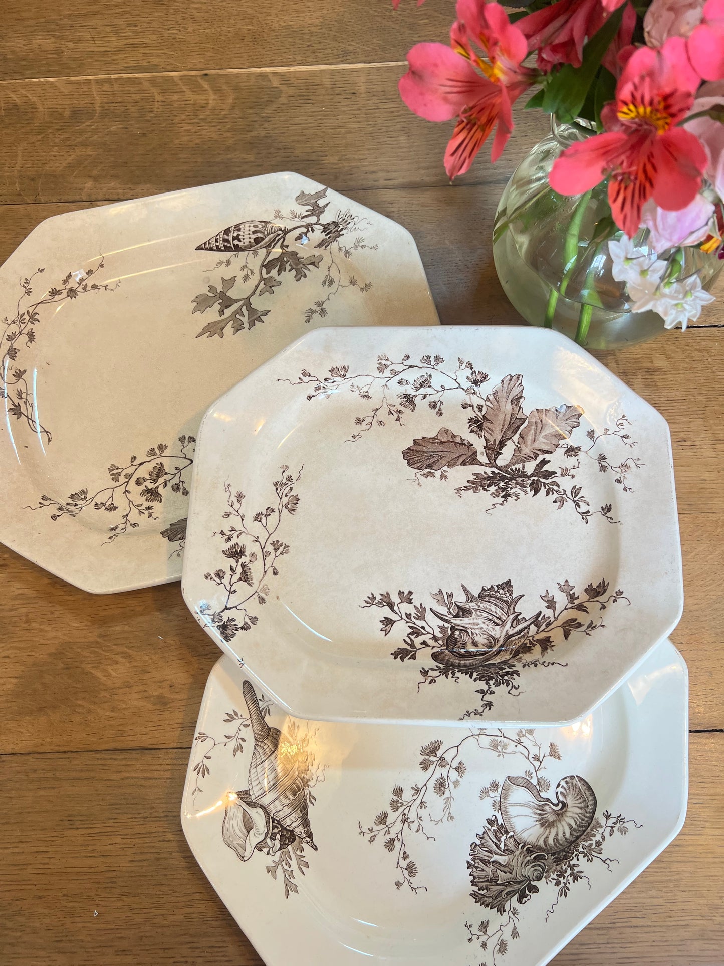 3 plats longs Wedgwood