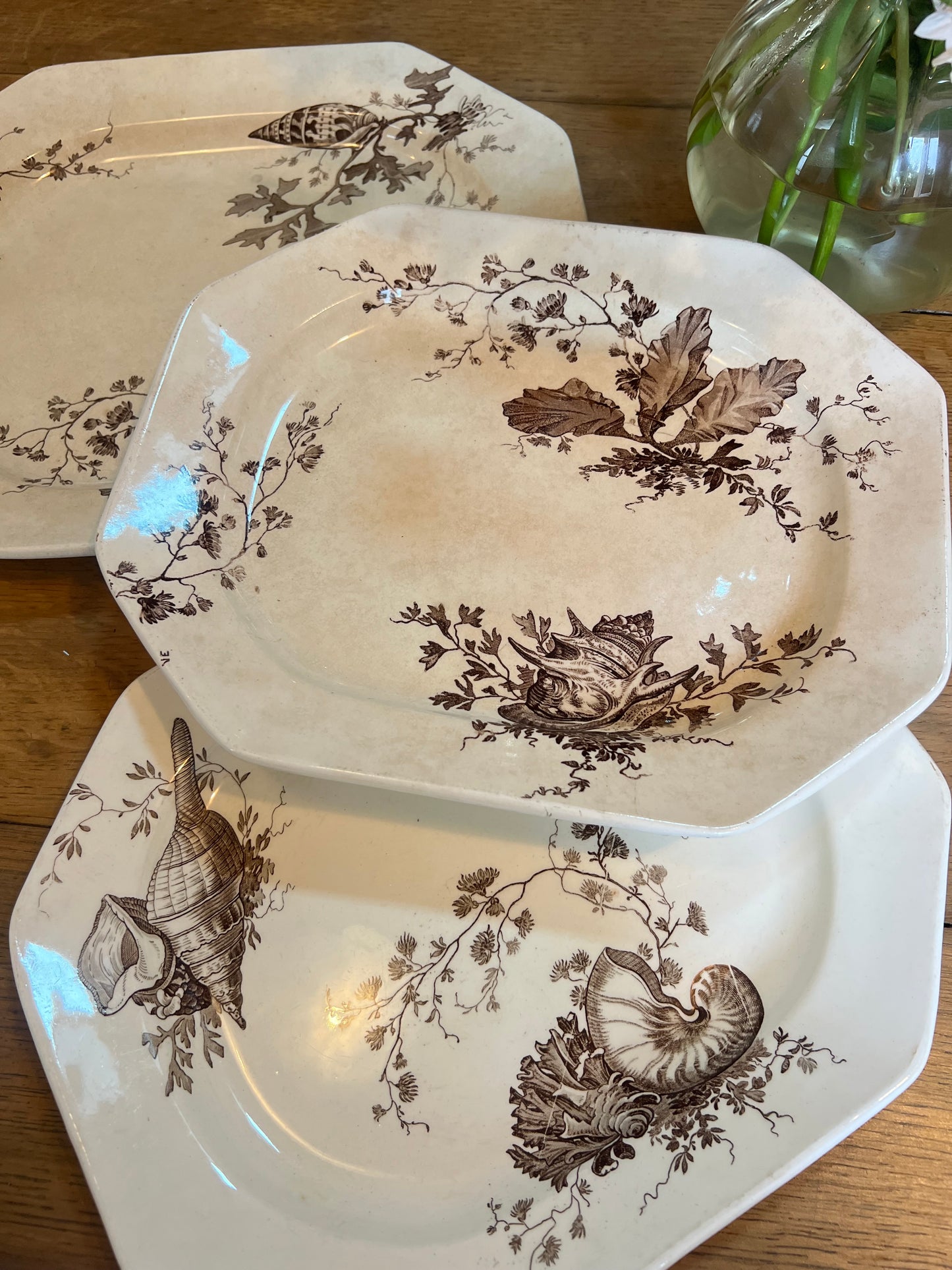 3 plats longs Wedgwood