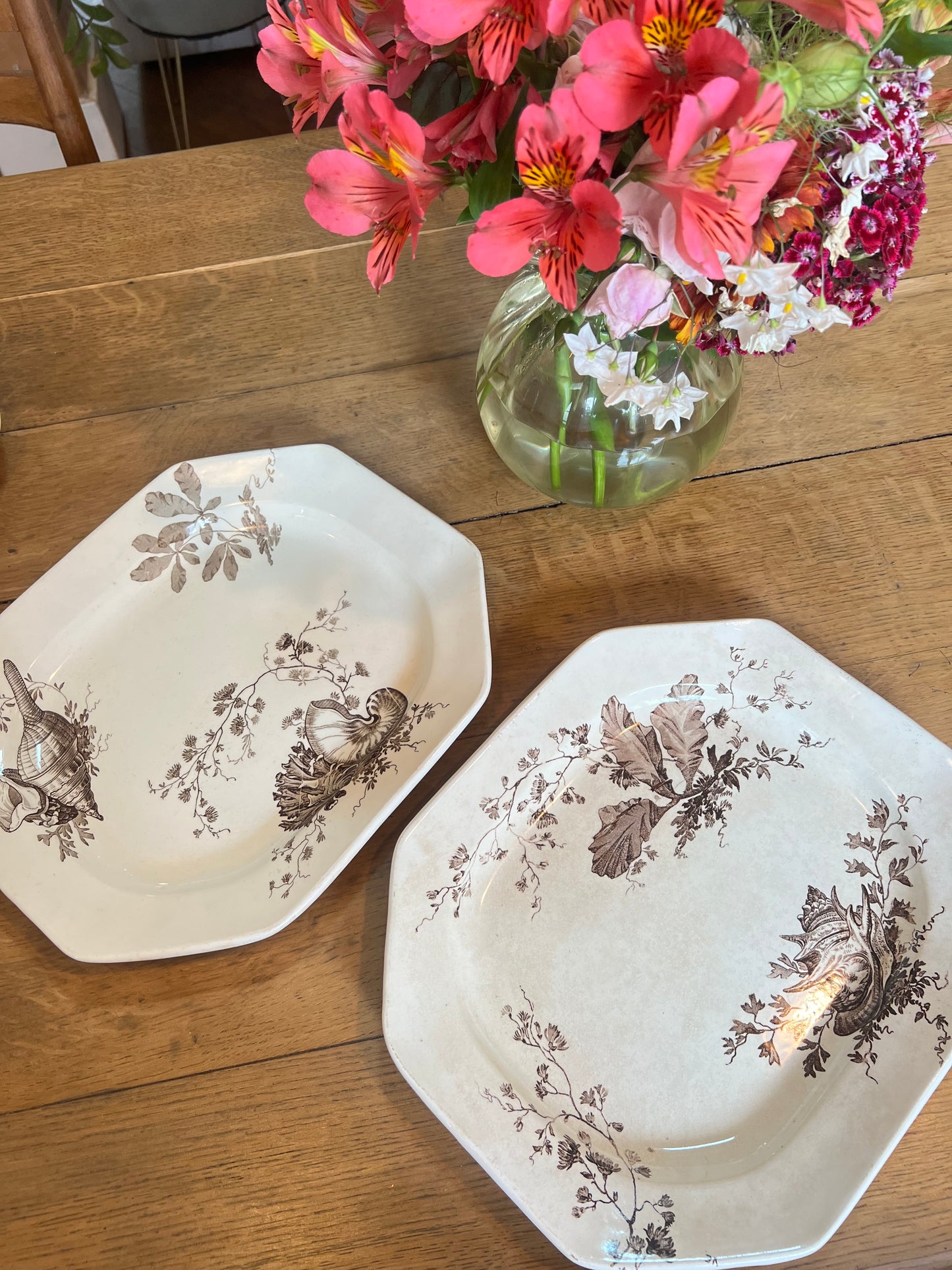 3 plats longs Wedgwood