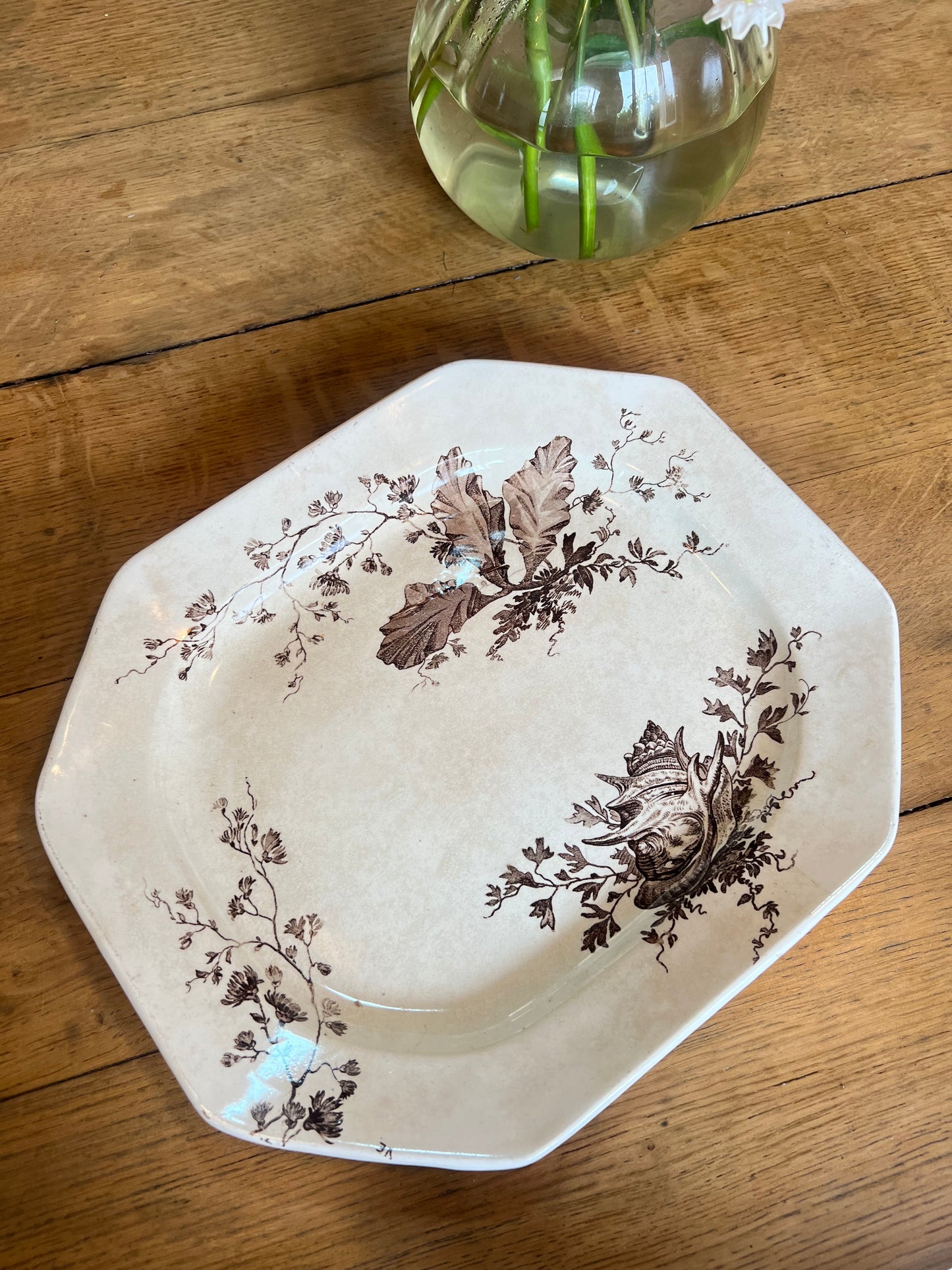 3 plats longs Wedgwood