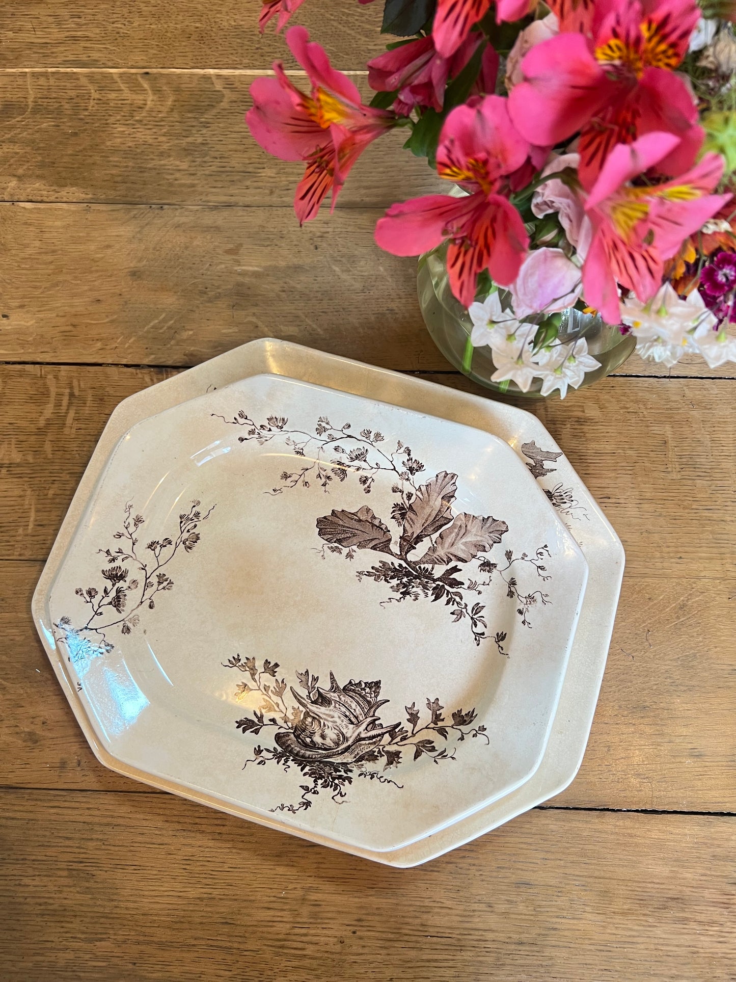 3 plats longs Wedgwood