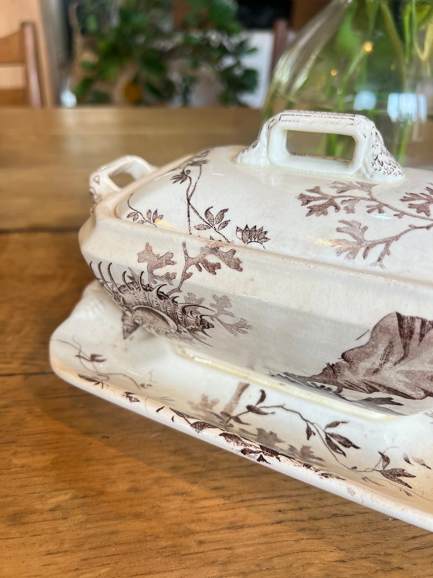 Saucière Wedgwood, anglais, modèle Neptune, en parfait état.
