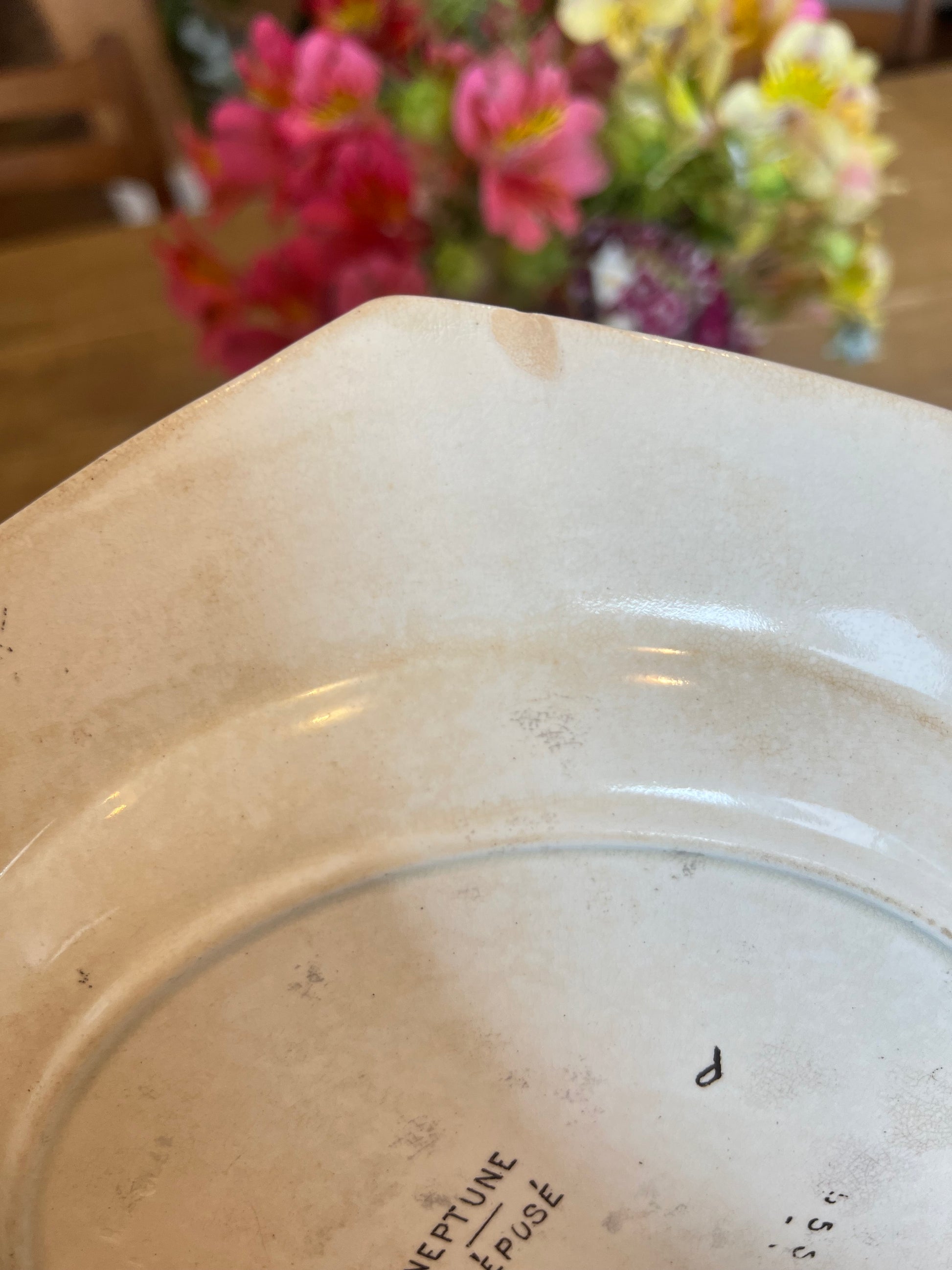 14 assiettes plates Wedgwood, anglais, modèle Neptune, jaunies, 2 ont des petits éclats en dessous et un un léger fêle.