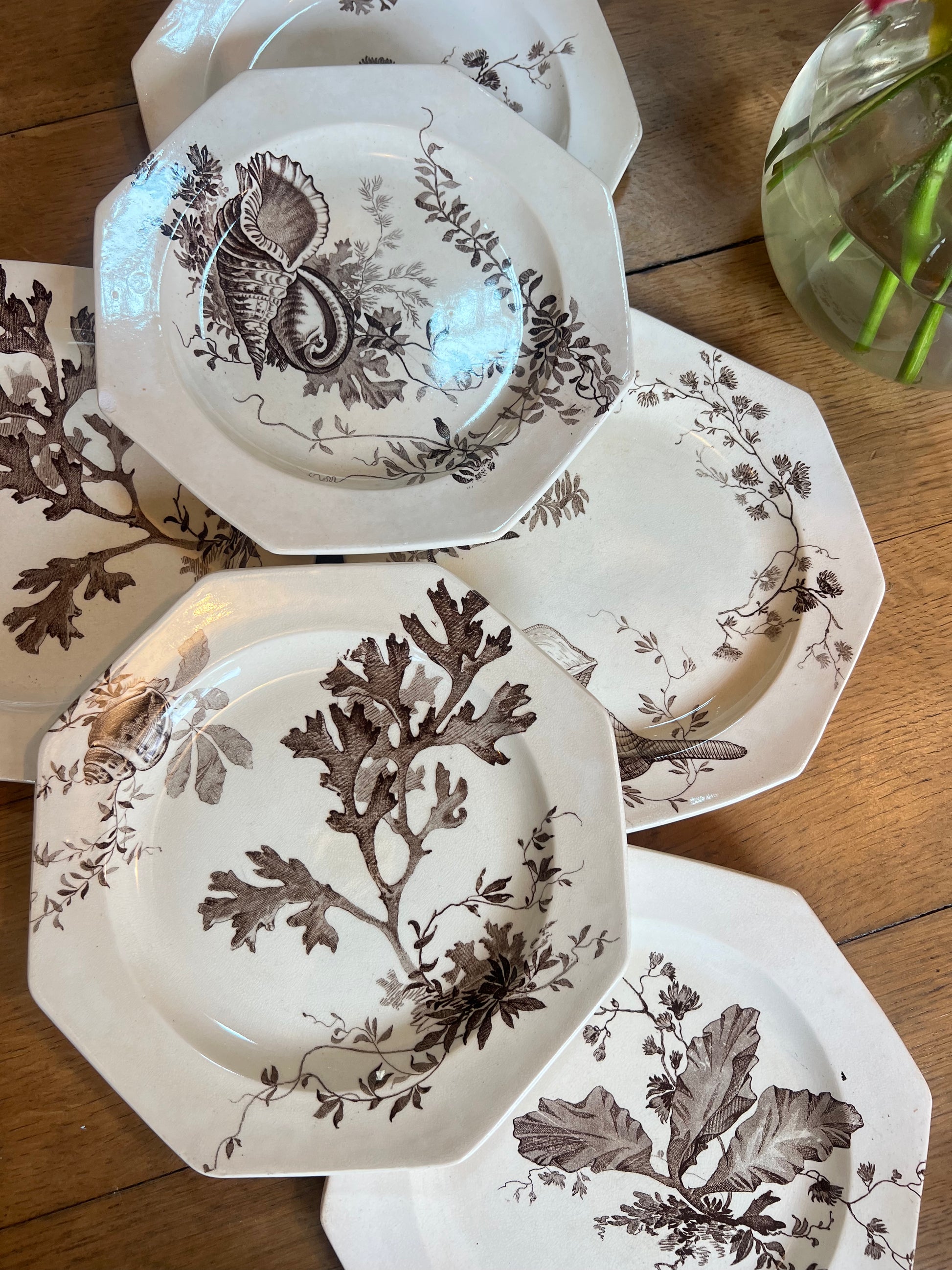 6 assiettes plates Wedgwood, anglais, modèle Neptune, en parfait état.