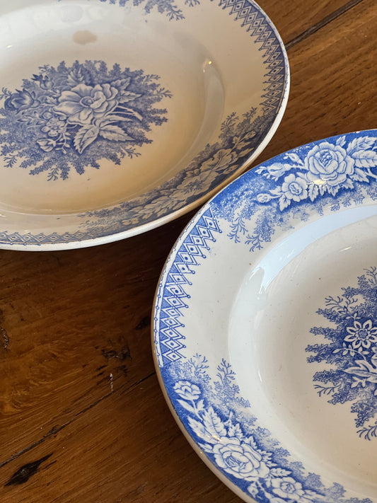 Paire d'assiettes à soupe Saint Amand, modèle Jardinière, une est tâchée.